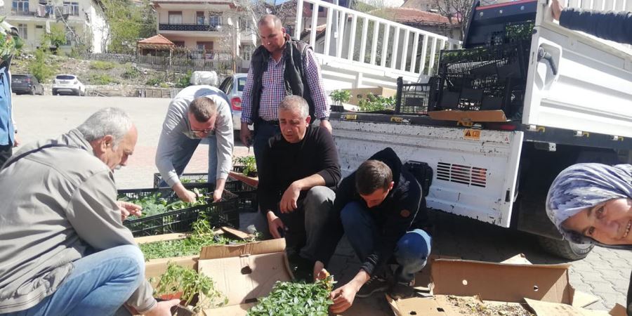 İbradı Belediyesinden Üreticisine Destek