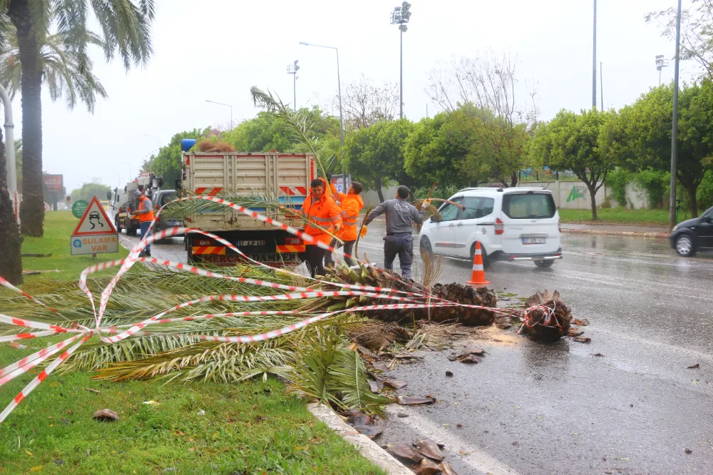 Antalya Büyükşehir’de 1200 personel fırtınada hazır bekledi:  Yıkılan ağaçlara anında müdahale edildi