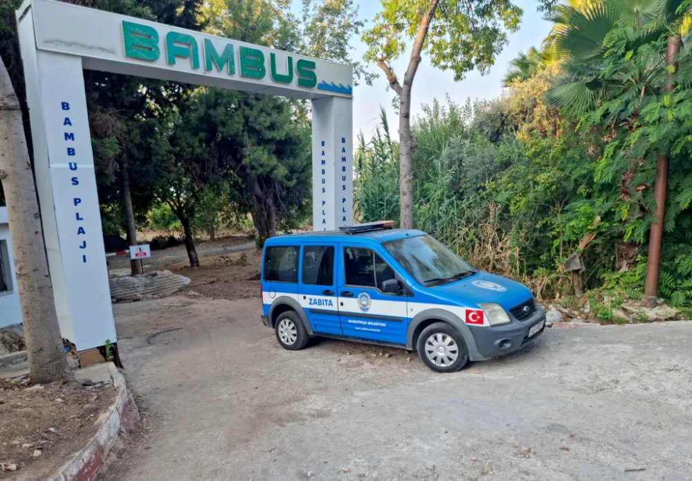 Bambus işgalden temizlendi