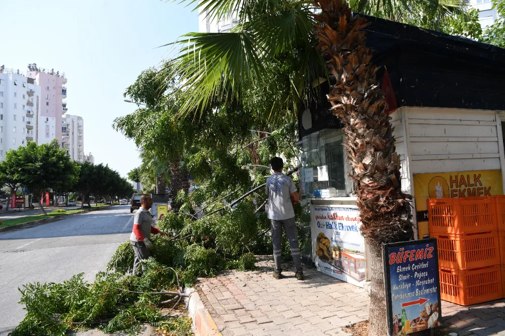 KONYAALTI’NDA FIRTINA SONRASI PARKLARA MÜDAHALE 