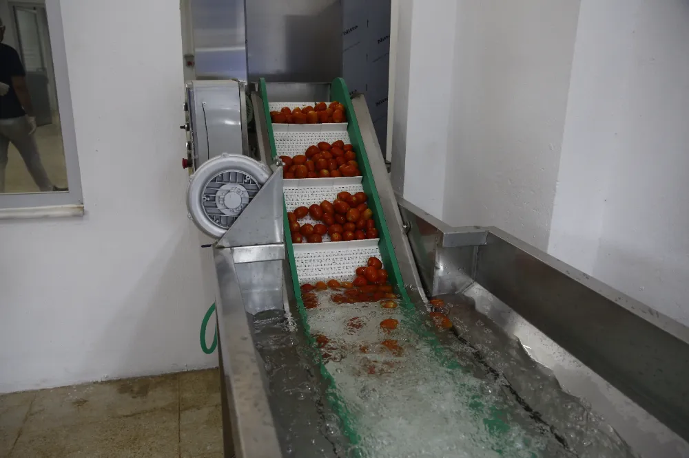 Kumluca Yaş Sebze Meyve Kurutma ve   Paketleme Tesisi ile kayıplar en aza iniyor
