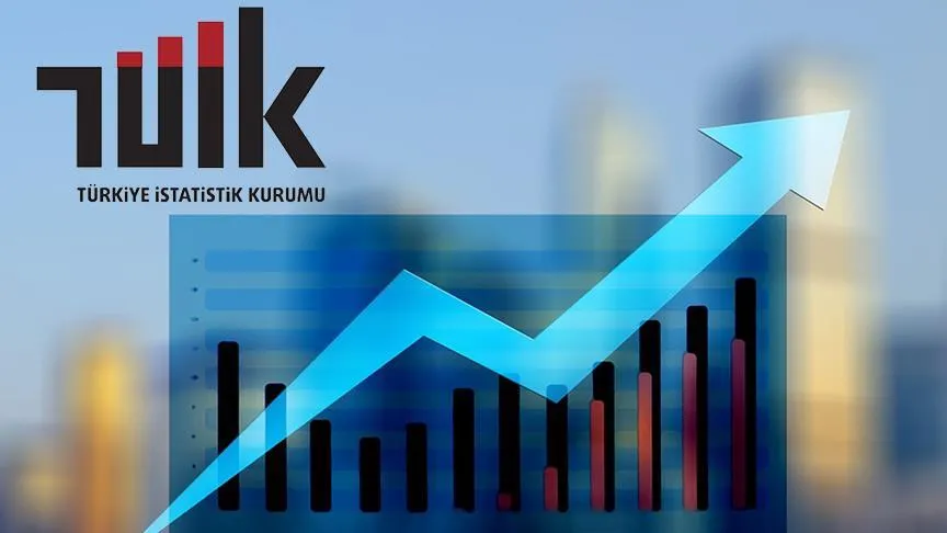 TÜİK, girişim özelliklerine göre dış ticaret İstatistiklerini yayınladı