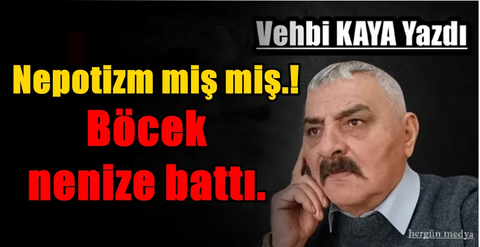 Böcek nenize battı.