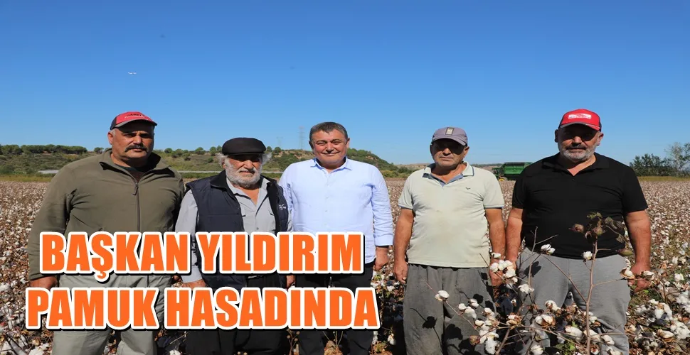 BAŞKAN YILDIRIM PAMUK HASADINDA