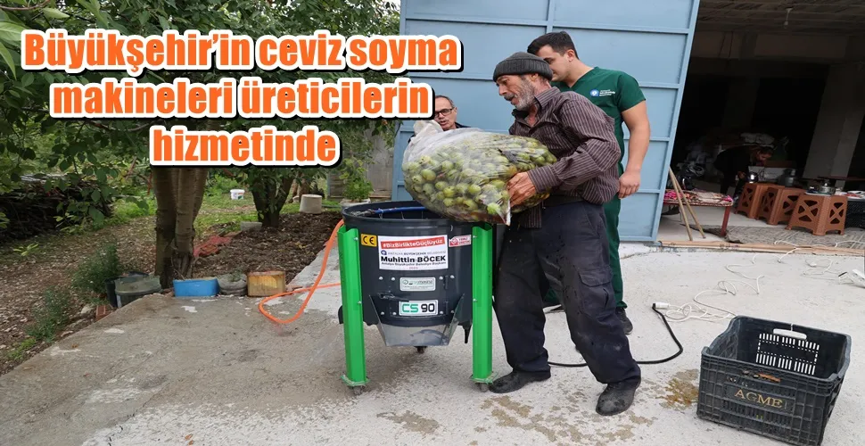 Büyükşehir’in ceviz soyma makineleri üreticilerin hizmetinde