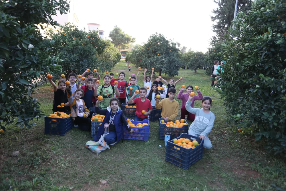 Kepez Belediyesi, Dokumapark’tan toplanan portakalları ilçe halkıyla paylaştı