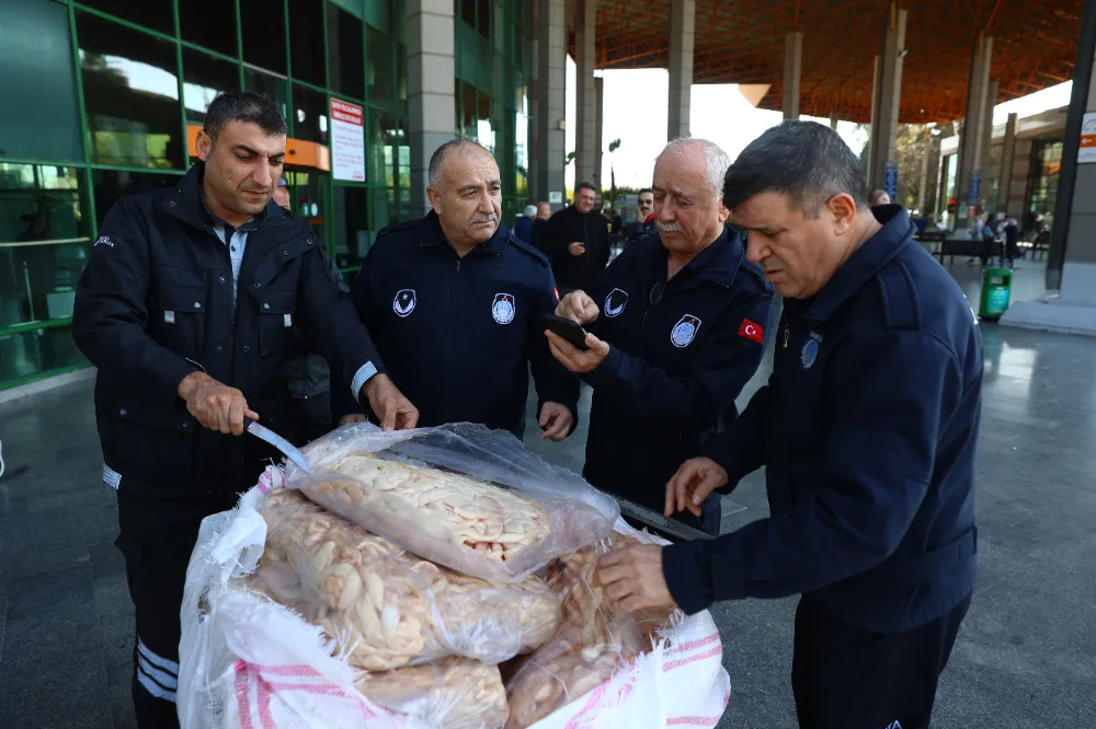 Antalya Büyükşehir Belediyesi Zabıta ekipleri otobüsle gönderilen 300 kg sakatata el koydu