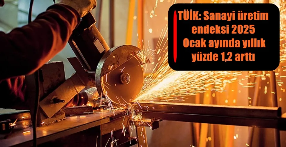 TÜİK: Sanayi üretim endeksi 2025 Ocak ayında yıllık yüzde 1,2 arttı