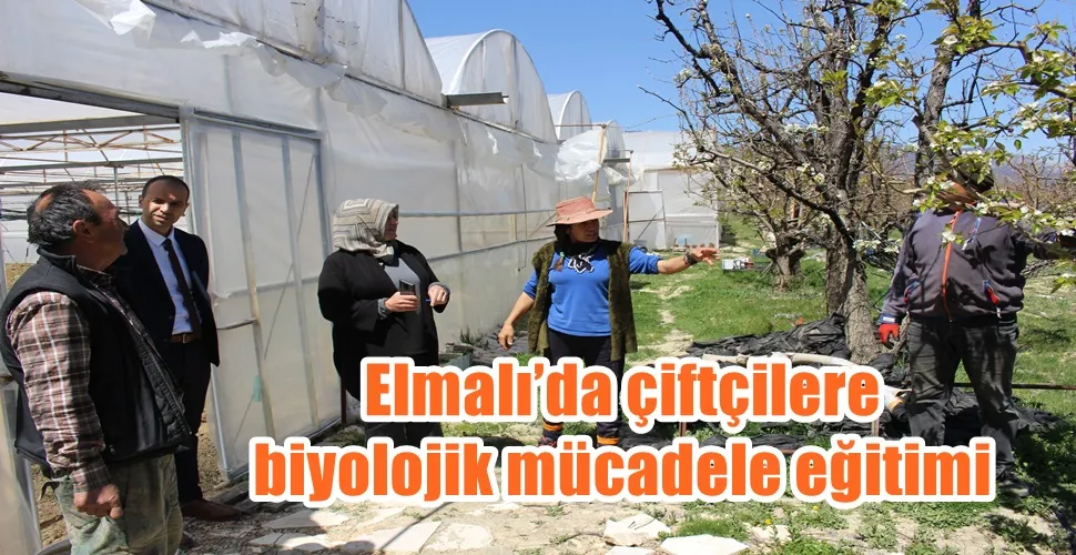 Elmalı’da çiftçilere biyolojik mücadele eğitimi 