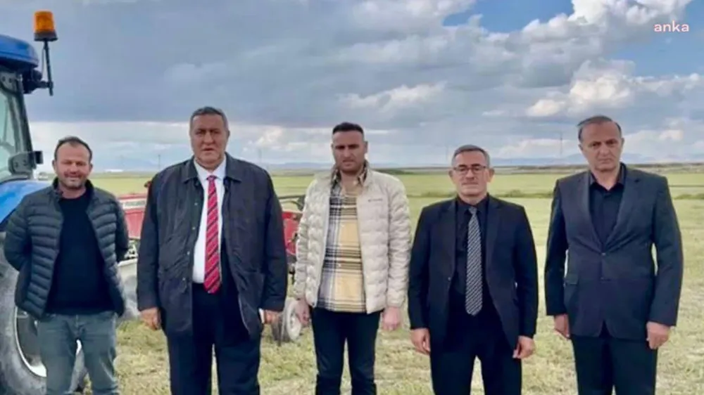 CHP
