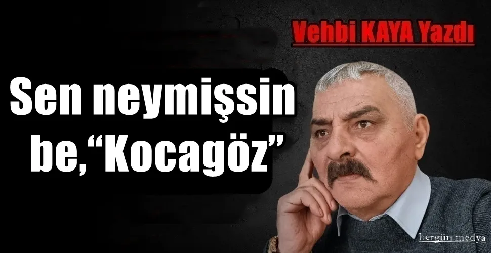 Sen neymişsin  be,“Kocagöz”