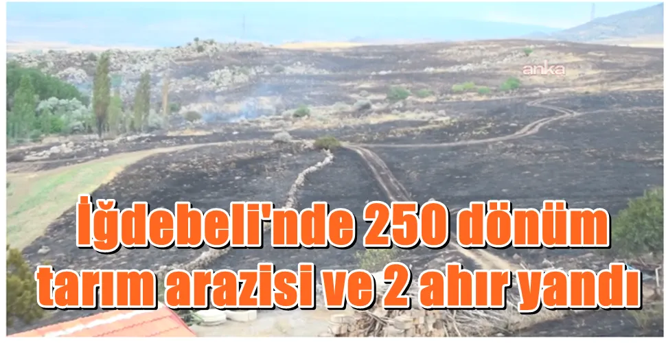  İğdebeli