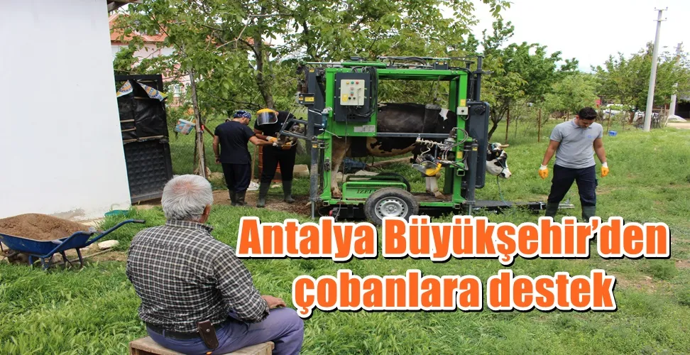  Antalya Büyükşehir’den çobanlara destek 