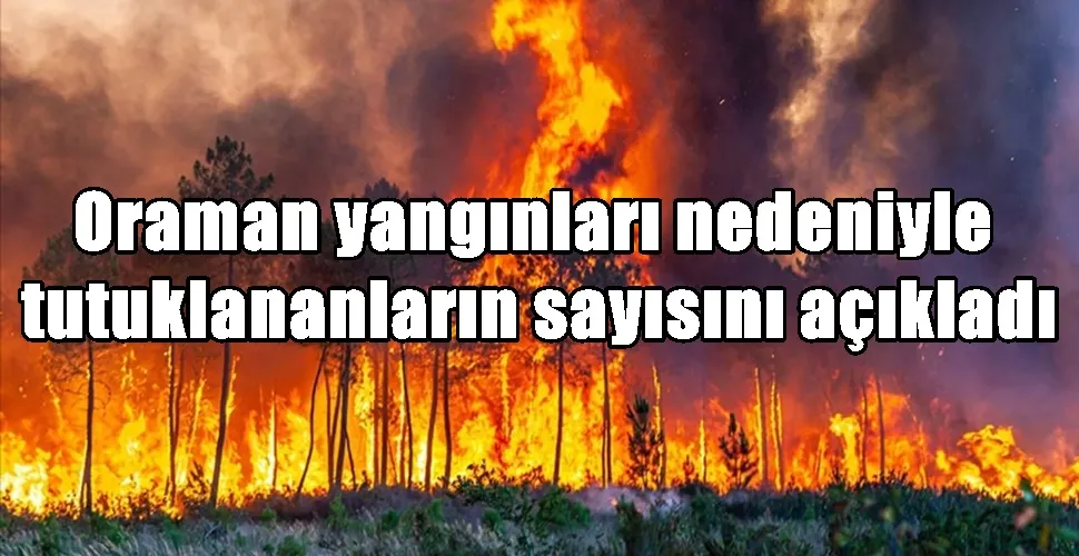 Oraman yangınları nedeniyle  tutuklananların sayısını açıkladı