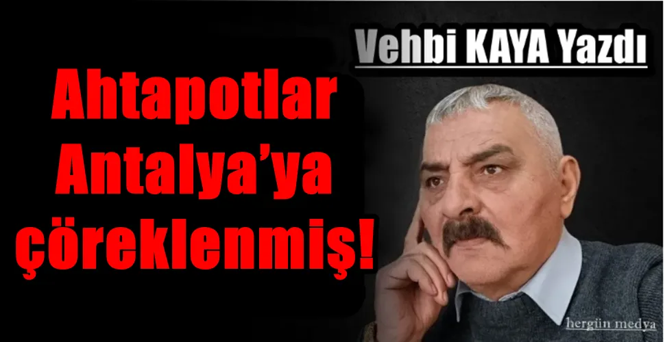 Ahtapotlar Antalya’ya çöreklenmiş!