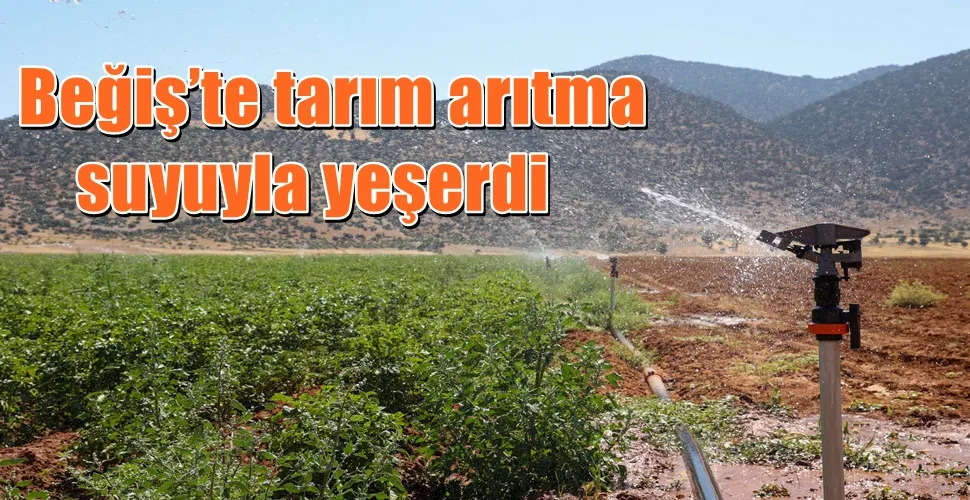 Beğiş’te tarım arıtma suyuyla yeşerdi