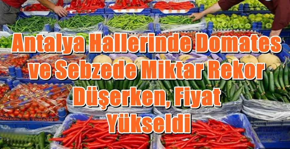 Antalya Hallerinde Domates  ve Sebzede Miktar Rekor  Düşerken, Fiyat  Yükseldi