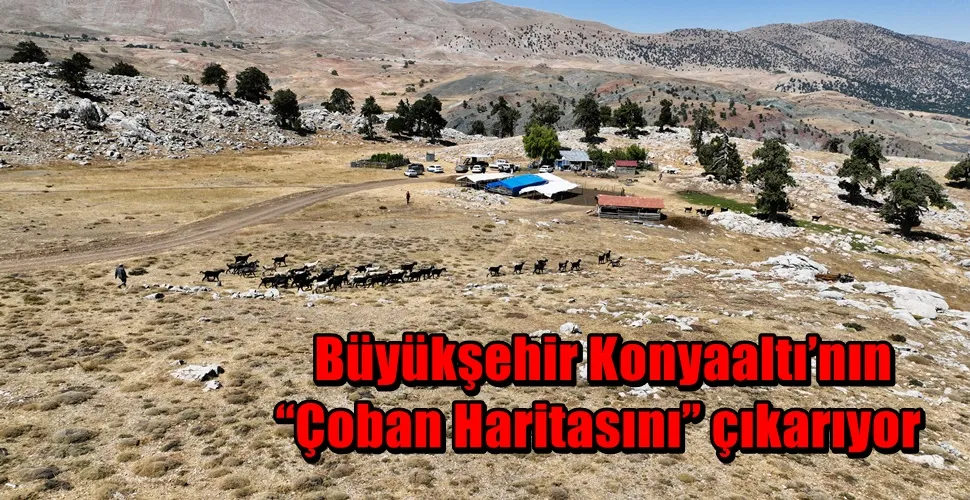   Büyükşehir Konyaaltı’nın “Çoban Haritasını” çıkarıyor