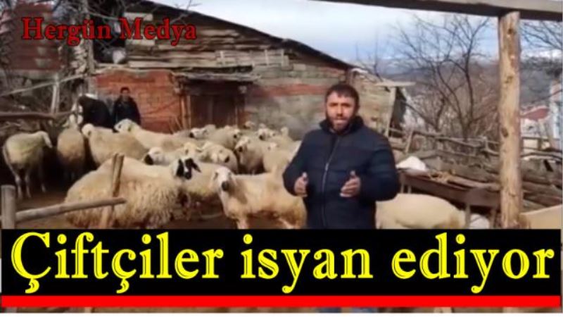 Çiftçiler isyan ediyor