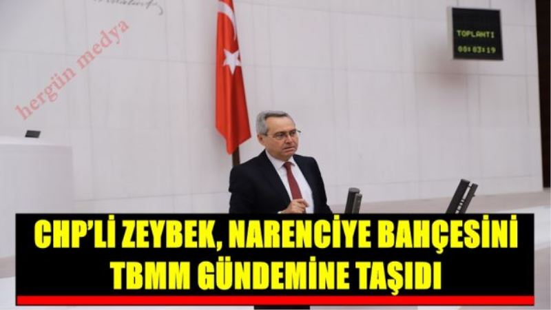 CHP’Lİ ZEYBEK, NARENCİYE BAHÇESİNİ TBMM GÜNDEMİNE TAŞIDI