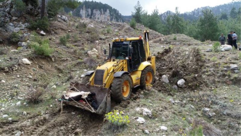 Uçuruma yuvarlanan inek, 2 gün sonra kepçeyle kurtarıldı