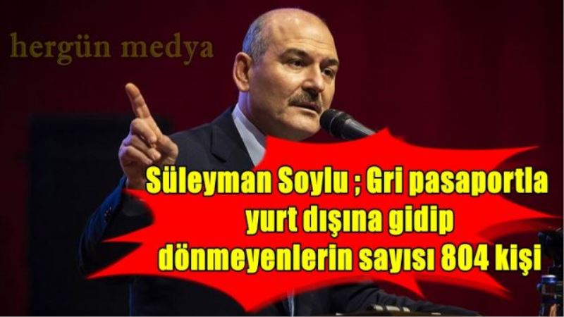 Süleyman Soylu ; Gri pasaportla yurt dışına gidip dönmeyenlerin sayısı 804
