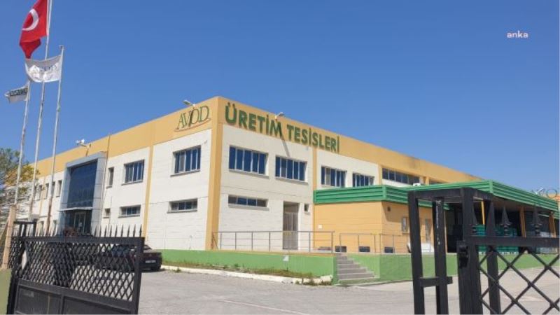 16 MİLYAR DOLARLIK VEGAN PAZARINA TÜRKLER DE GİRDİ