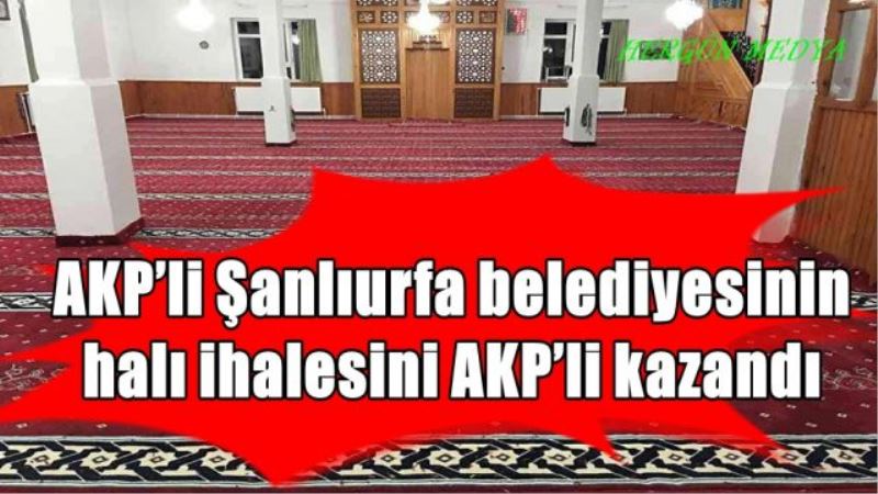 AKP’li Şanlıurfa belediyesinin halı ihalesini AKP’li kazandı