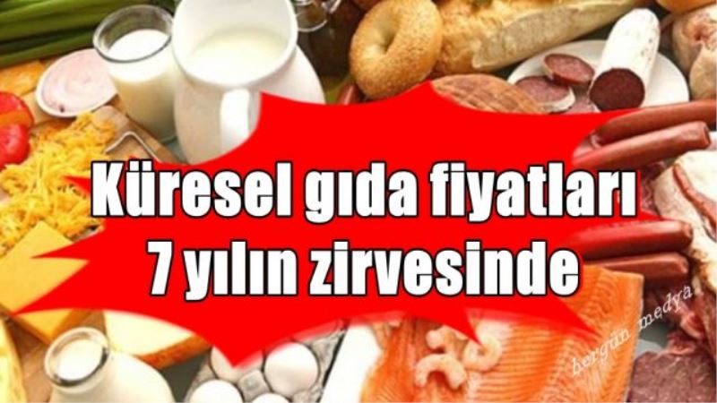 Birleşmiş Milletler Gıda ve Tarım Örgütü: Küresel gıda fiyatları 7 yılın zirvesinde