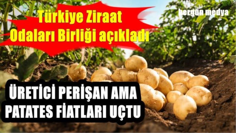 ÜRETİCİ PERİŞAN AMA  PATATES FİATLARI UÇTU