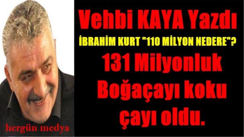 131 Milyonluk  Boğaçayı koku  çayı oldu.