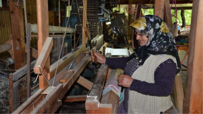 Alanya Sapadere, ipekböcekçiliğinin merkezi olacak