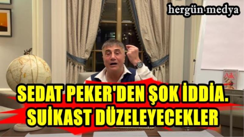 SEDAT PEKER