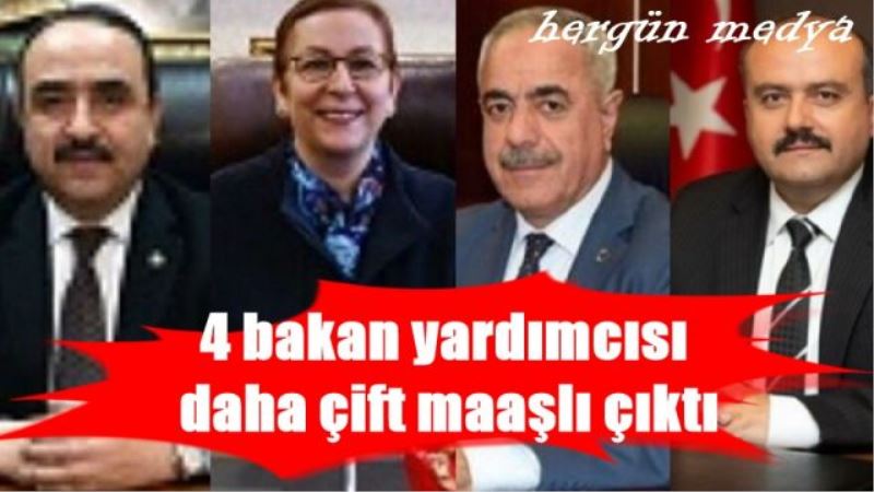 4 bakan yardımcısı daha çift maaşlı çıktı