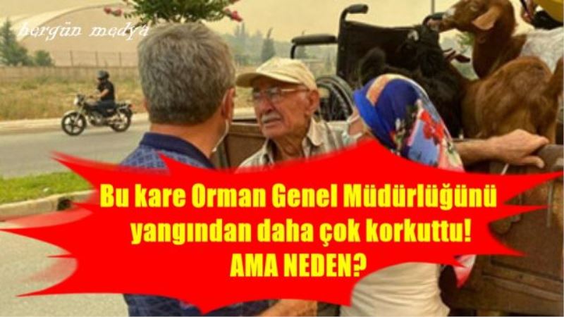 Bu kare Orman Genel Müdürlüğünü  yangından daha çok korkuttu!  AMA NEDEN?