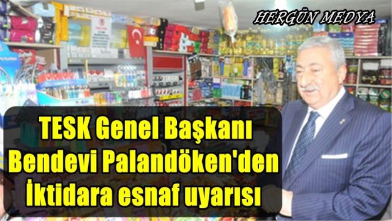 TESK Genel Başkanı  Bendevi Palandöken