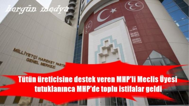 Tütün üreticisine destek veren MHP