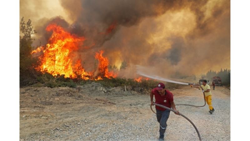 Antalya Büyükşehir’e 1 milyon fidan bağışı