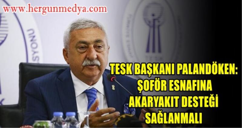 TESK BAŞKANI PALANDÖKEN: ŞOFÖR ESNAFINA AKARYAKIT DESTEĞİ SAĞLANMALI